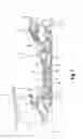 Fig. 02 - Turbine engine rotor shaft comprising an improved heat exchange surface