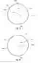 Fig. 06 - Support pin for spring guidance in a camshaft phaser