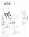 Fig. 07 - MODULE FOR CONTROLLING FUEL PRESSURE IN AN INTERNAL COMBUSTION ENGINE