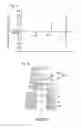 Fig. 05 - Tightening structure for cylinder head bolt