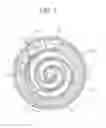 Fig. 05 - Scroll compressor
