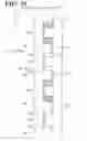 Fig. 11 - Joint structure and power steering device