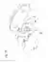 Fig. 13 - Shim assembly for disk brake