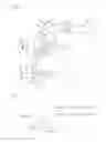 Fig. 07 - Hydraulic control system for vehicles