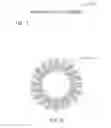 Fig. 06 - Rosette lipseal