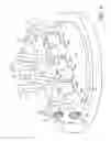 Fig. 02 - Check valves