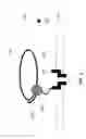 Fig. 04 - Selectable valve of a delivery system