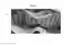 Fig. 05 - Pipe heater