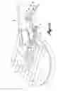 Fig. 12 - Chest-mounted support device