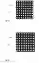 Fig. 05 - LED pixel device with dynamic diffuser effects