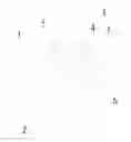 Fig. 01 - Electronic lighting device simulating real fire