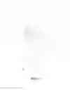 Fig. 11 - Electronic lighting device simulating real fire