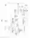 Fig. 12 - Optically excited phosphor display screens having coloring filtering pigments embedded in phosphor mixtures