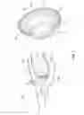 Fig. 02 - Nozzle guide for a combustor of a gas turbine engine