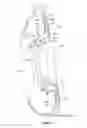Fig. 03 - Nozzle guide for a combustor of a gas turbine engine