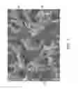 Fig. 02 - High specific area composite foam and an associated method of fabrication