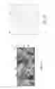 Fig. 06 - High specific area composite foam and an associated method of fabrication