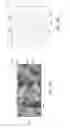 Fig. 07 - High specific area composite foam and an associated method of fabrication