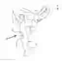 Fig. 11 - Disassembly devices for use with firearms and firearms including such disassembly devices