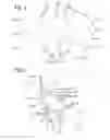Fig. 02 - Plated Armor Fabric