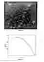 Fig. 13 - Explosive composition manufacturing and delivery platform, and blasting method