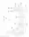 Fig. 11 - Moving amount estimating apparatus, autonomous mobile body, and moving amount estimating method