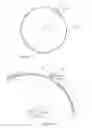 Fig. 03 - Rotary encoder
