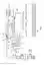 Fig. 03 - Mass flow measurement apparatus and method