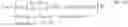Fig. 06 - Temperature sensor