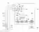 Fig. 01 - Analyzing device and analyzing method based on images of biological tissue captured under illumination of light with different illumination wavelength ranges
