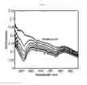 Fig. 10 - SYSTEMS AND METHODS FOR DIAGNOSIS OF EPITHELIAL LESIONS