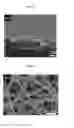 Fig. 04 - Substrate for surfaced enhanced raman scattering, fabrication method for the same and analyzing method using the same