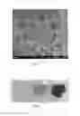 Fig. 02 - Method for preparing hydrogel bead for detection of hydrofluoric acid and kit comprising the same