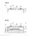Fig. 04 - Device for detecting at least one gaseous analyte and method for the production thereof