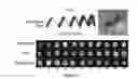 Fig. 06 - DEVICES, SYSTEMS, AND METHODS FOR ELECTROPHORESIS