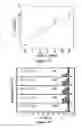 Fig. 10 - DEVICES, SYSTEMS, AND METHODS FOR ELECTROPHORESIS