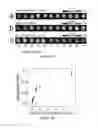 Fig. 14 - DEVICES, SYSTEMS, AND METHODS FOR ELECTROPHORESIS