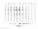Fig. 28 - DEVICES, SYSTEMS, AND METHODS FOR ELECTROPHORESIS