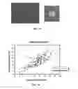 Fig. 11 - Magnetohydrodynamic microfluidic systems including modified electrodes and methods of using the same