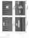 Fig. 08 - Biopolymer separation using nanostructured arrays