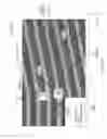 Fig. 16 - Biopolymer separation using nanostructured arrays