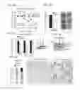 Fig. 06 - Assays for screening for or identifying an agent or molecule that can block or inhibit AVB3 integrin from forming a complex with KRAS