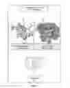Fig. 11 - Method of screening for a compound for inhibitory activity of FN14-tweak interaction