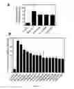 Fig. 12 - Method of screening for a compound for inhibitory activity of FN14-tweak interaction