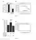 Fig. 13 - Method of screening for a compound for inhibitory activity of FN14-tweak interaction