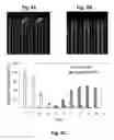 Fig. 06 - SYSTEMS AND METHODS FOR THE CAPTURE AND SEPARATION OF MICROPARTICLES