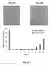 Fig. 09 - SYSTEMS AND METHODS FOR THE CAPTURE AND SEPARATION OF MICROPARTICLES