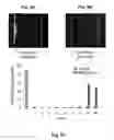 Fig. 10 - SYSTEMS AND METHODS FOR THE CAPTURE AND SEPARATION OF MICROPARTICLES