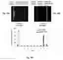 Fig. 11 - SYSTEMS AND METHODS FOR THE CAPTURE AND SEPARATION OF MICROPARTICLES