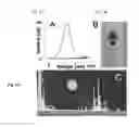 Fig. 05 - NOVEL BIOMARKER DETECTION WITH MOLECULAR IMPRINTS